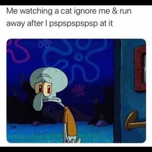 Meet your Posher, Huda